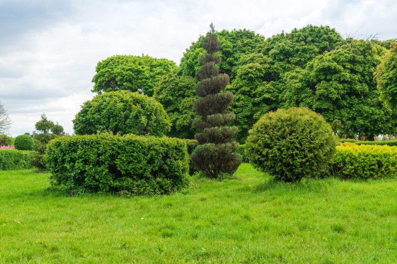 How To Tell When Your Shrubs Need Professional Care
