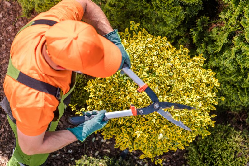 When to Schedule Shrub Trimming