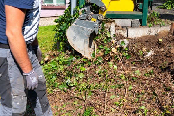 Hedge Removal Service in Charlottesville