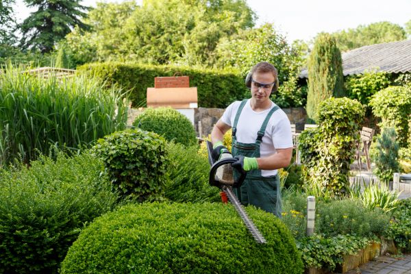 Shrubs Trimming in Charlottesville